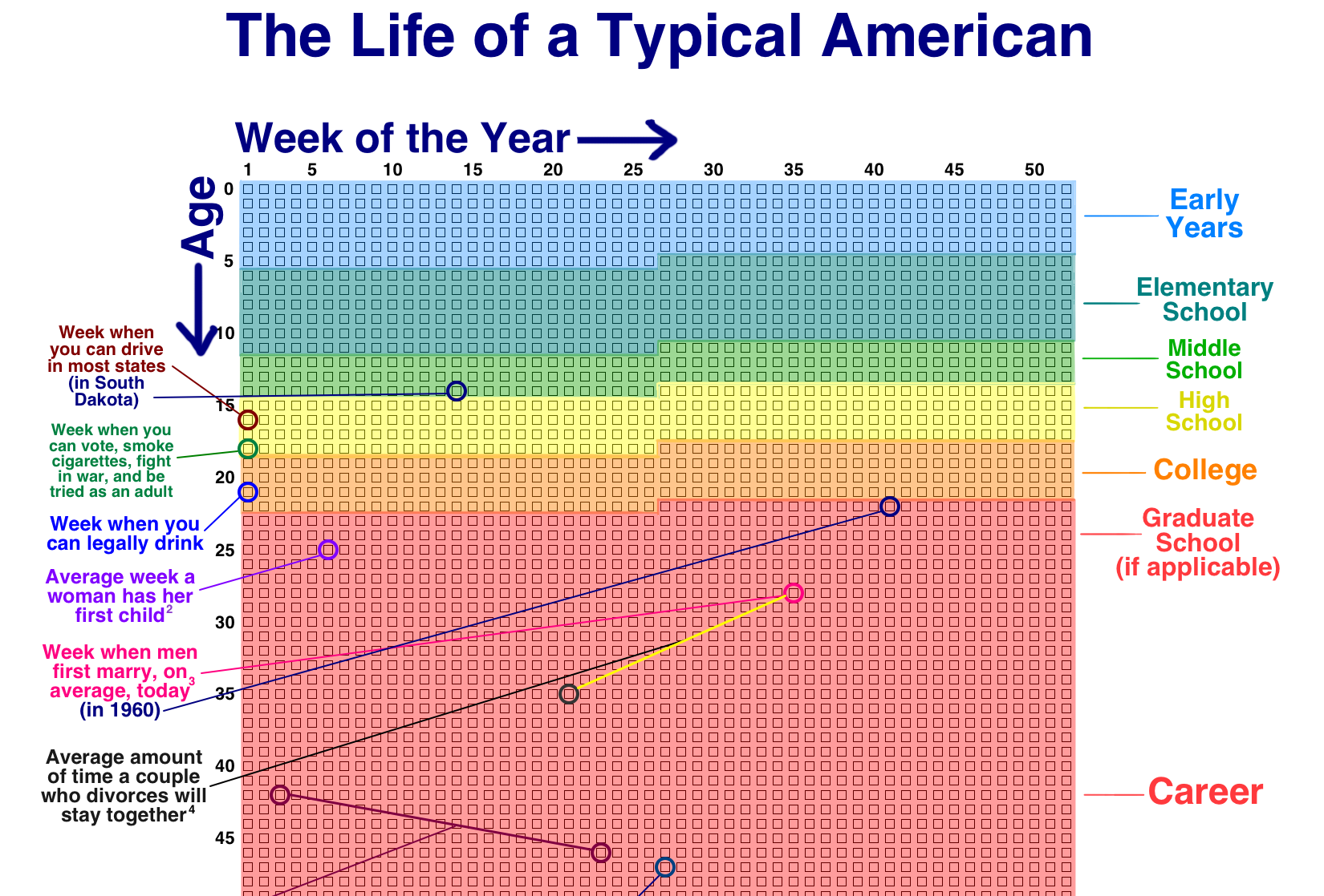 American Life in Weeks