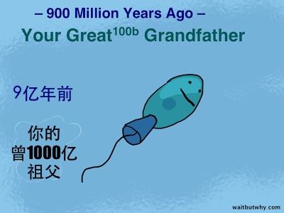 PFb32fNQoWSbLVMJvlA4_eukaryote