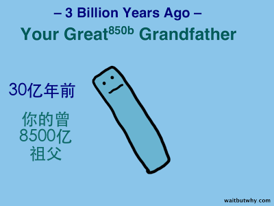 dX1Cj4yTn2Shi0i3RkW2_prokaryote