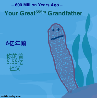 pXkTpyoNRKZFkGLKs2JW_sponge