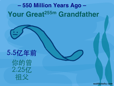 xVUVf7XSVyhOsDaS2mAQ_worm