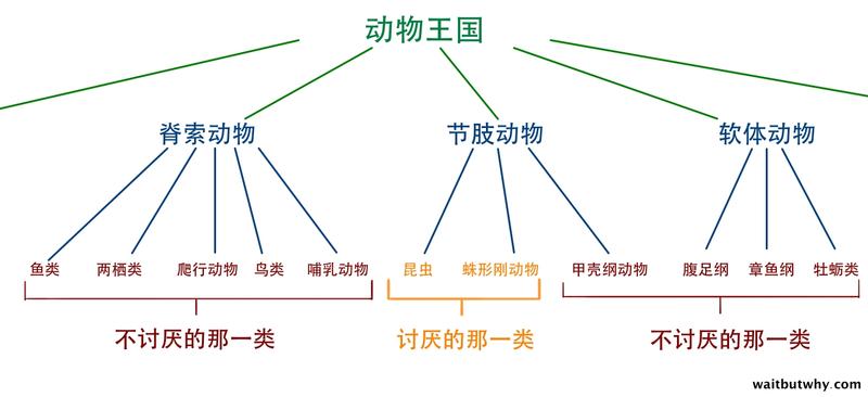 HmbfoRlRRqK2PUYU0sGh_Taxonomy chart