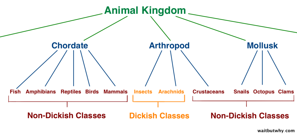 Taxonomy chart