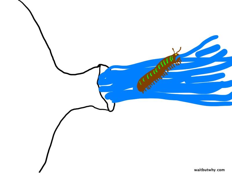 yvYkuI8QlK3wTmCMvOCf_water bottle 4